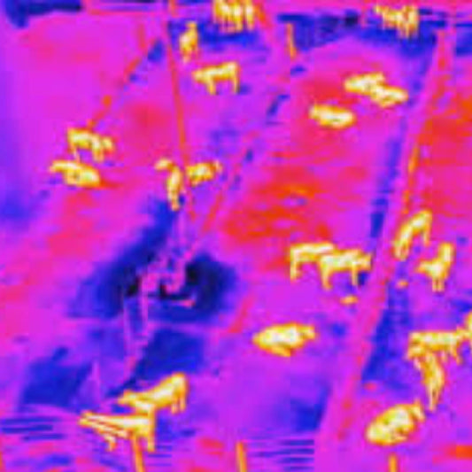 DJI Dock 2 Farm Monitoring Combo (Thermal)