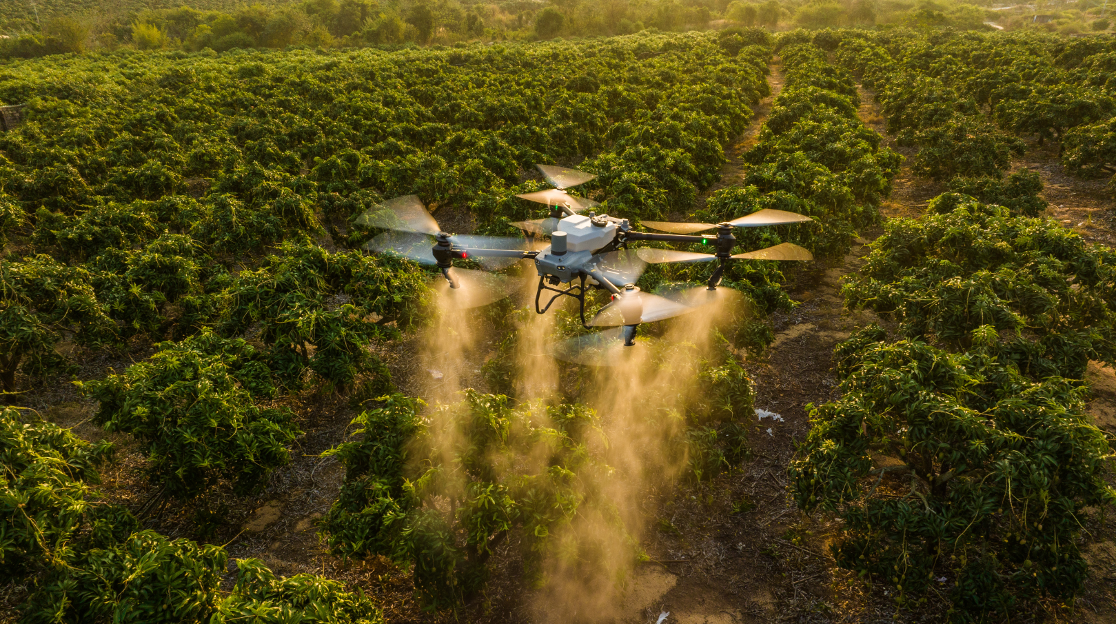 DJI AGRAS T50 All-in-One Combo Special Image