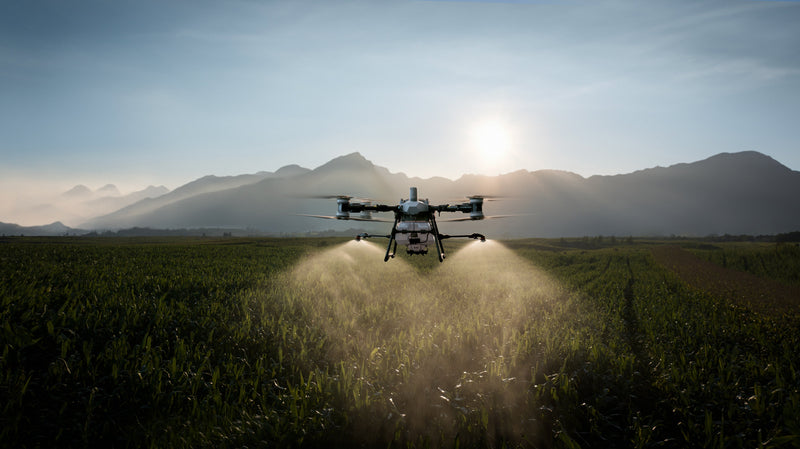 Introducing the DJI Agras T100 —  Best Agricultural Drones in Australia