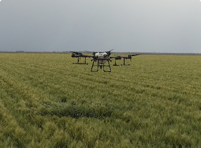 The Advantages of Agricultural Spraying Drones over Traditional Methods