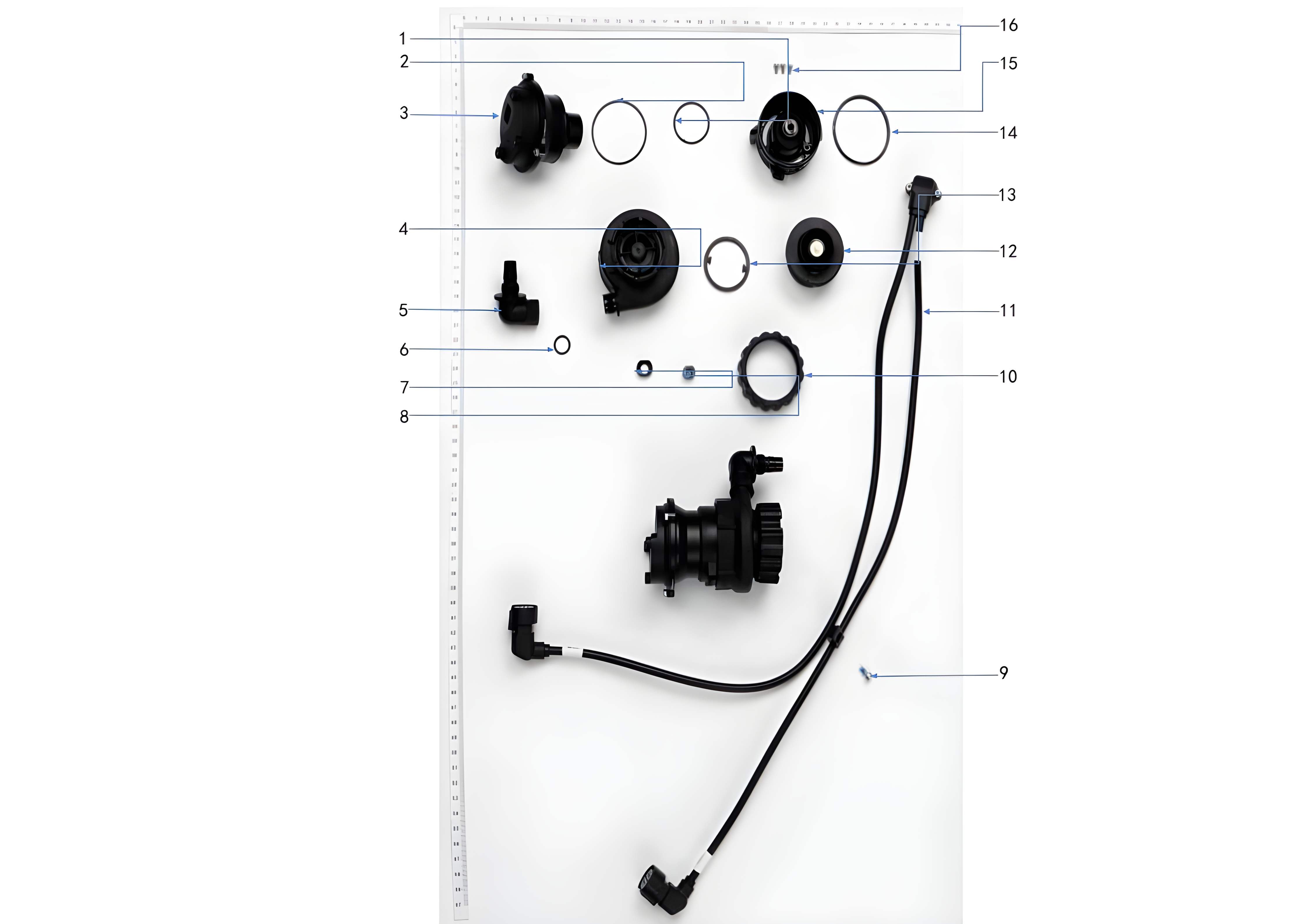 Parts Diagram for T100 Impeller Pump Assembly
