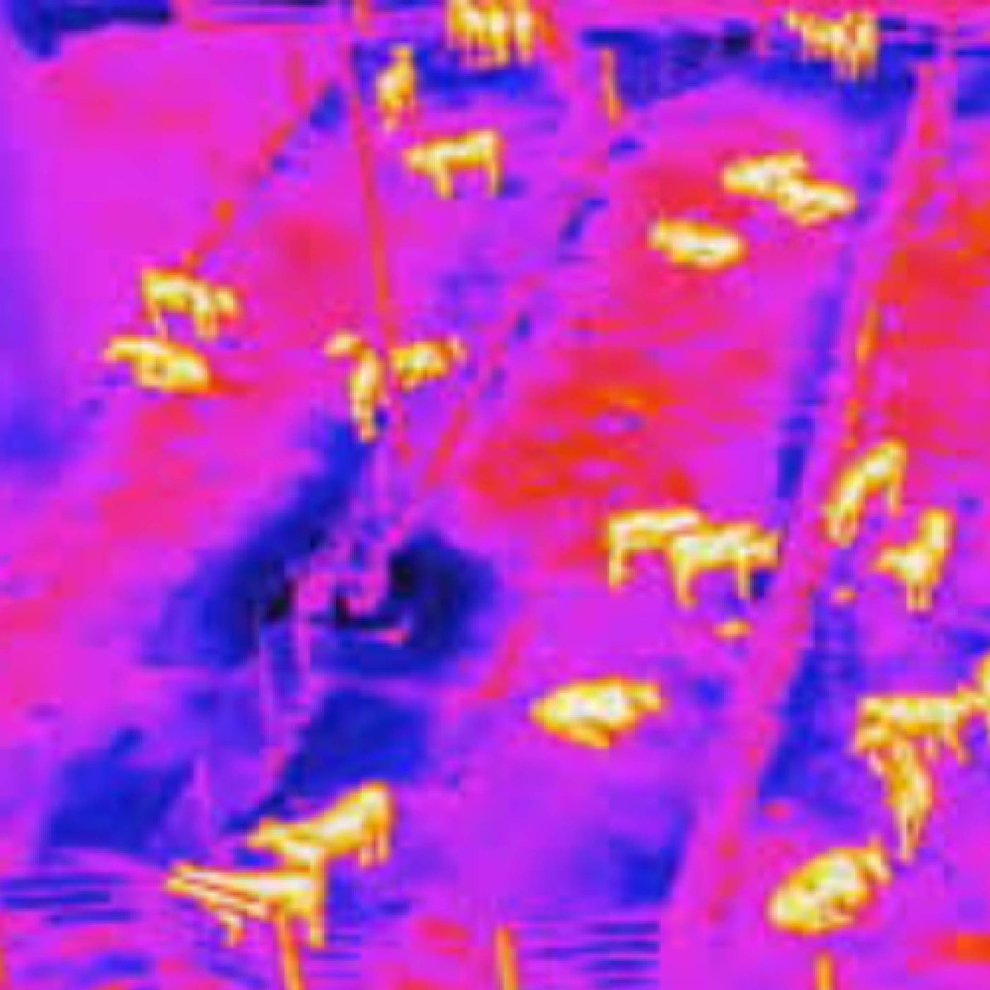 DJI Dock 2 Farm Monitoring Combo (Thermal)