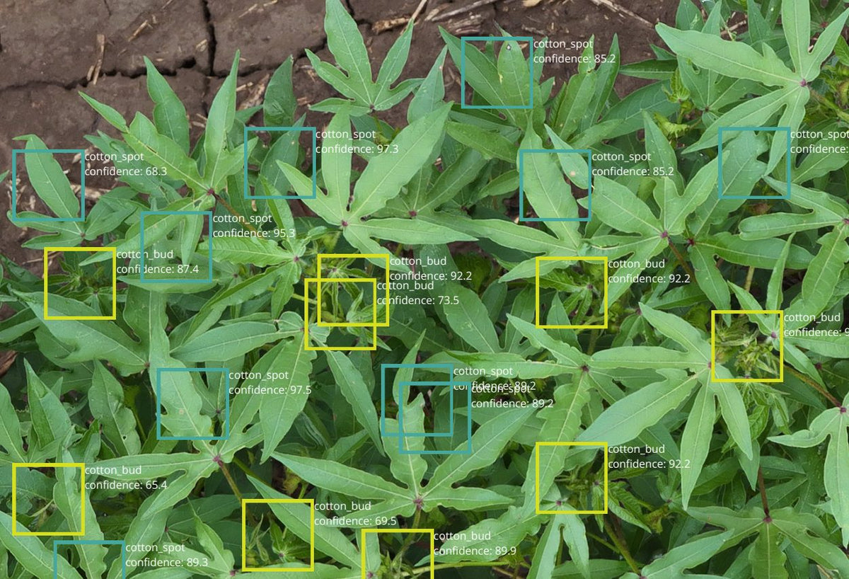 Findings on the map