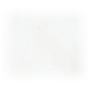 rp-t100-mist-inner-spray-lance-12-yc-jg-zs006905 (YC.JG.ZS006905)