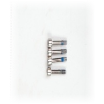 rp-t100-mist-inner-spray-lance-10-yc-st-ll000363 (YC.ST.LL000363)