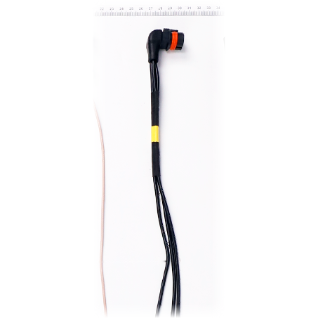 rp-djit50-128 (BC.AG.SS000673)